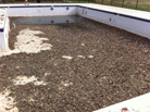 swimming pool repairs